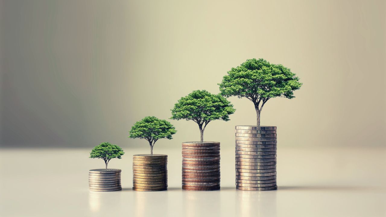 Trees growing out of piles of coins.